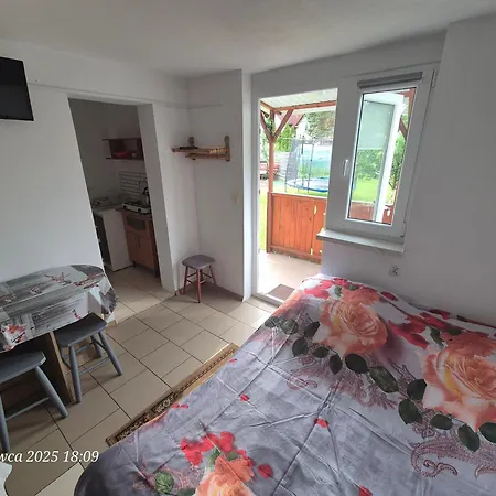 Lodge Dom Bursztynek - *
